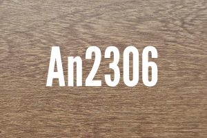 An2306