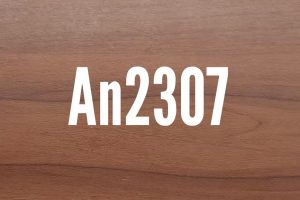 An2307