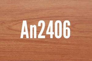 An2406