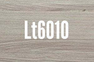 LT 6010