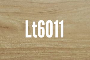 LT 6011