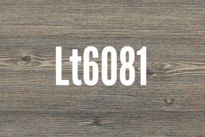 LT 6081