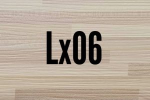 Lx06
