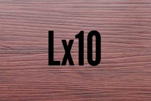 Lx10