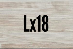 Lx18