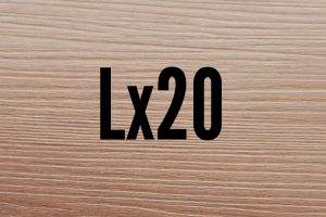 Lx20