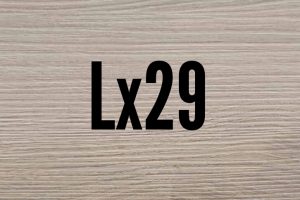 Lx29