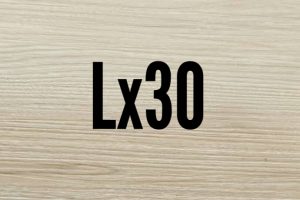 Lx30