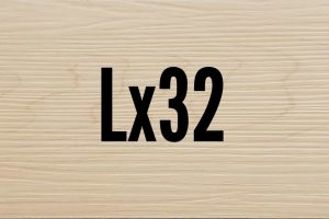 Lx32