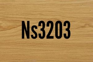 NS 3203