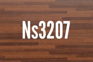 NS 3207